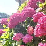 Chez Agatha Bed and breakfast Vertheuil-en-Médoc