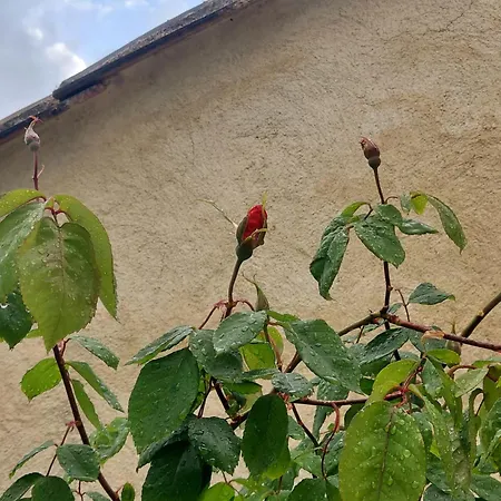 Chez Agatha Vertheuil-en-Médoc