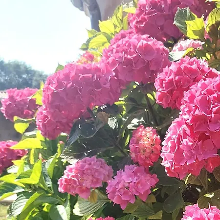 Chez Agatha 住宿加早餐酒店 Vertheuil-en-Médoc