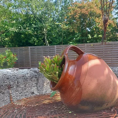 Chez Agatha Vertheuil-en-Médoc