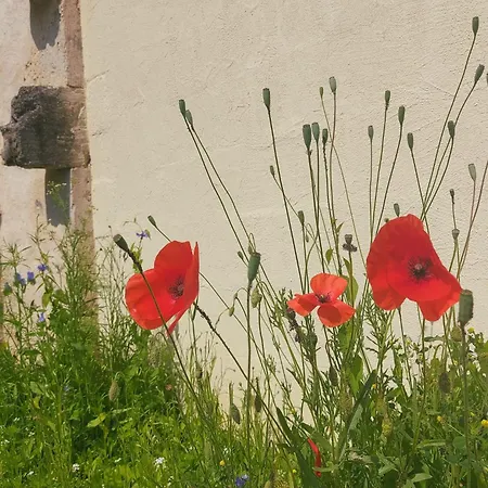 Chez Agatha