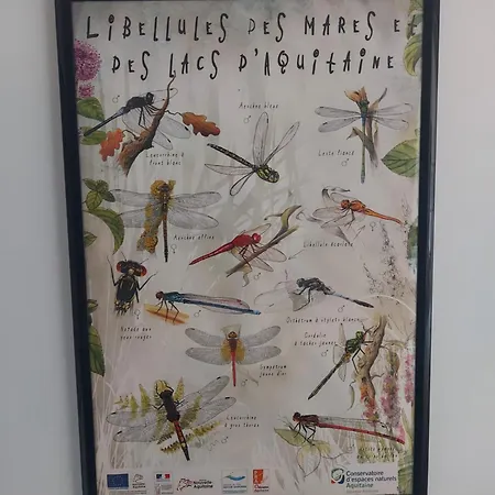 Chez Agatha Bed & Breakfast 3*