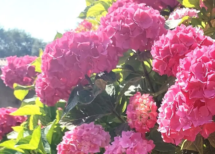 Chez Agatha Bed & Breakfast Vertheuil-en-Médoc