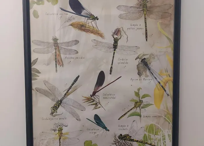 Chez Agatha Bed & Breakfast